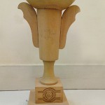 Trophy Brand of the year 2010